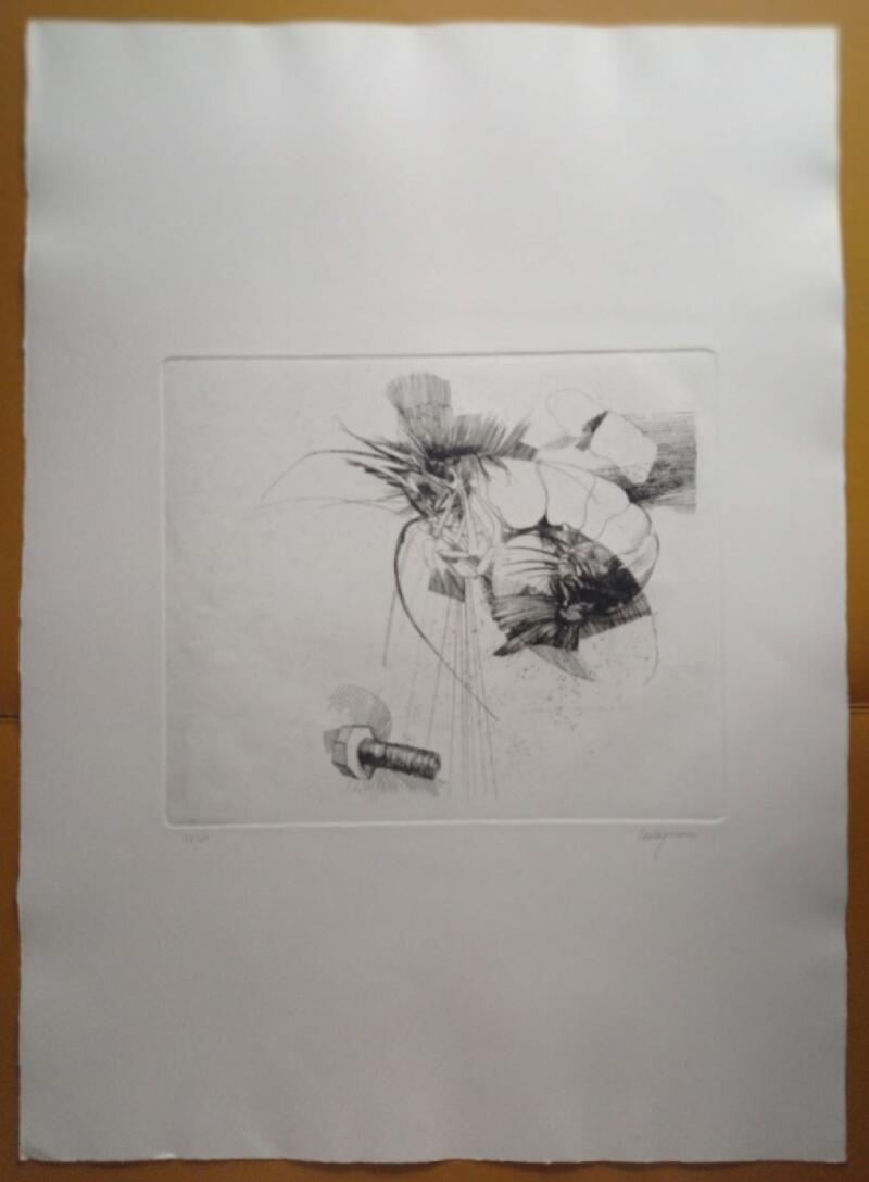 Giancarlo Tognoni Litografia Anni 1974-1975 mis. 50 x 70 cm.