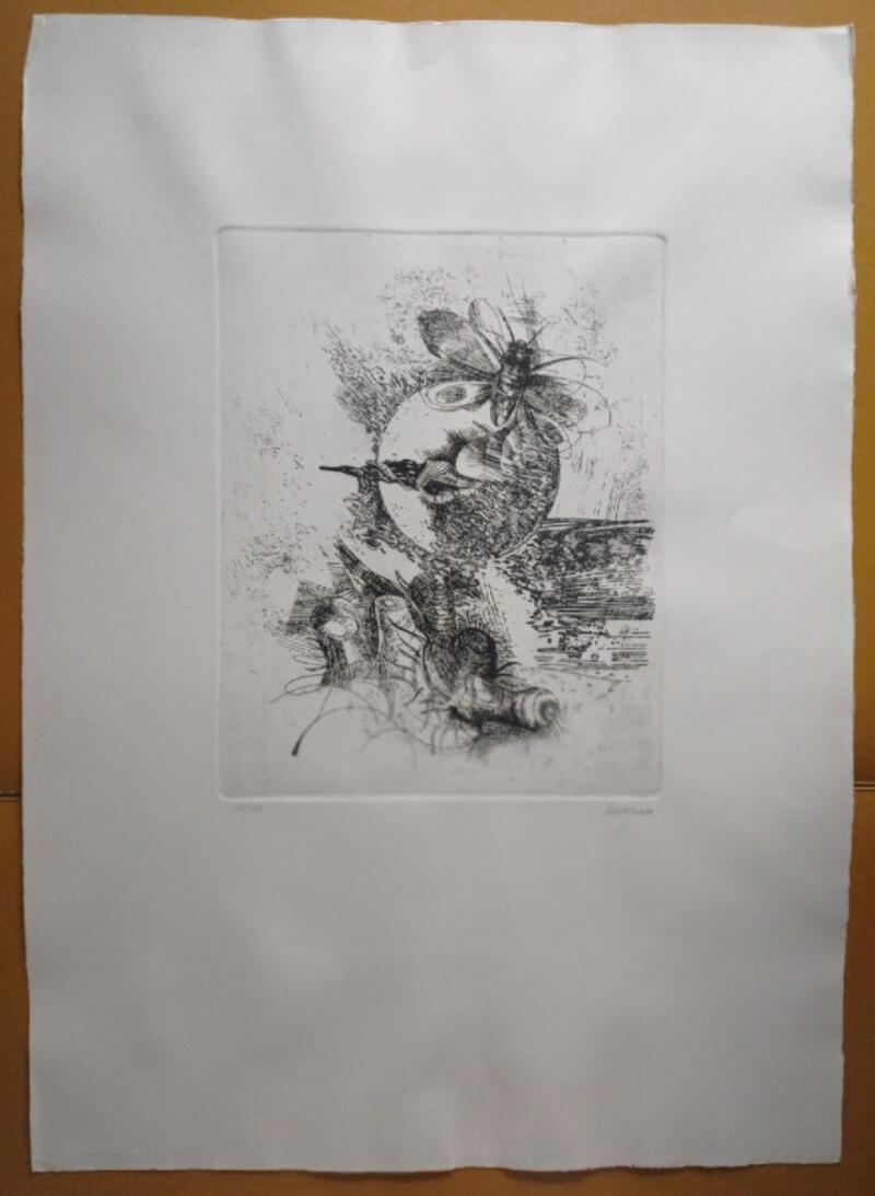 Giancarlo Tognoni Litografia Anni 1974-1975 mis. 50 x 70 cm.