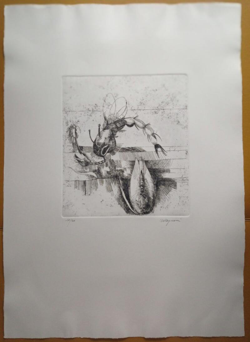 Giancarlo Tognoni Litografia Anni 1974-1975 mis. 50 x 70 cm.