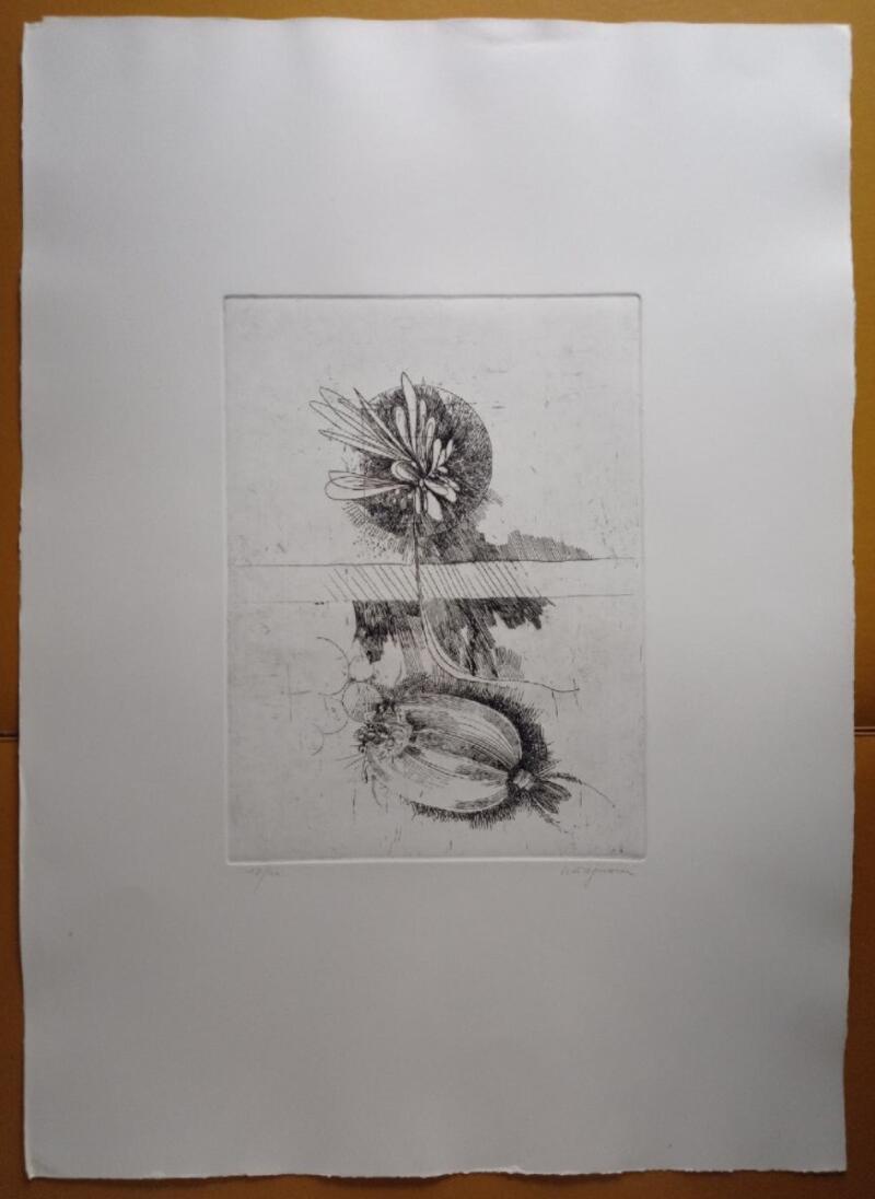 Giancarlo Tognoni Litografia Anni 1974-1975 mis. 50 x 70 cm.