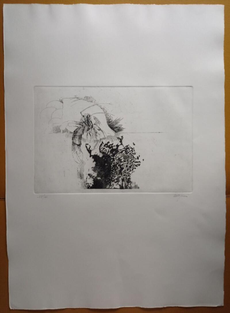 Giancarlo Tognoni Litografia Anni 1974-1975 mis. 50 x 70 cm.