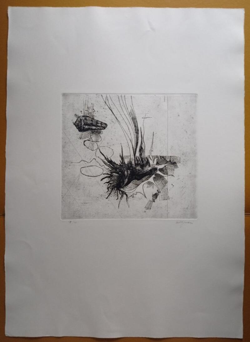 Giancarlo Tognoni Litografia Anni 1974-1975 mis. 50 x 70 cm.