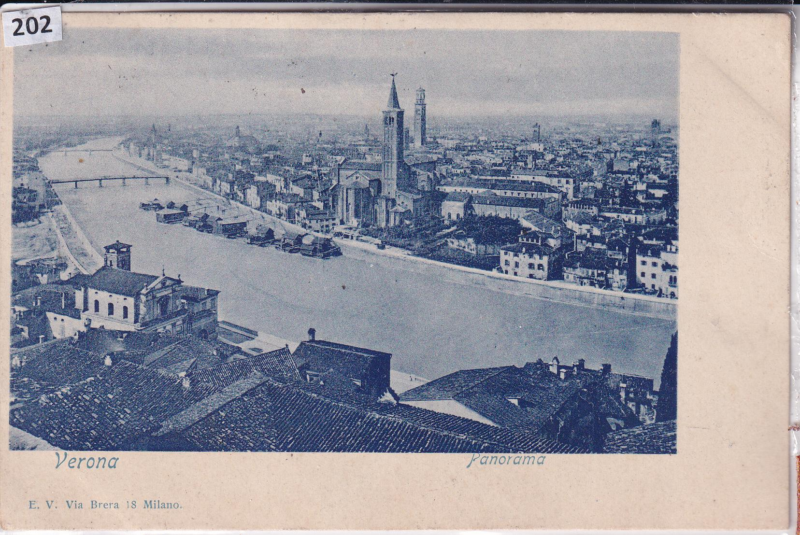 Cartolina illustrata Verona Panorama