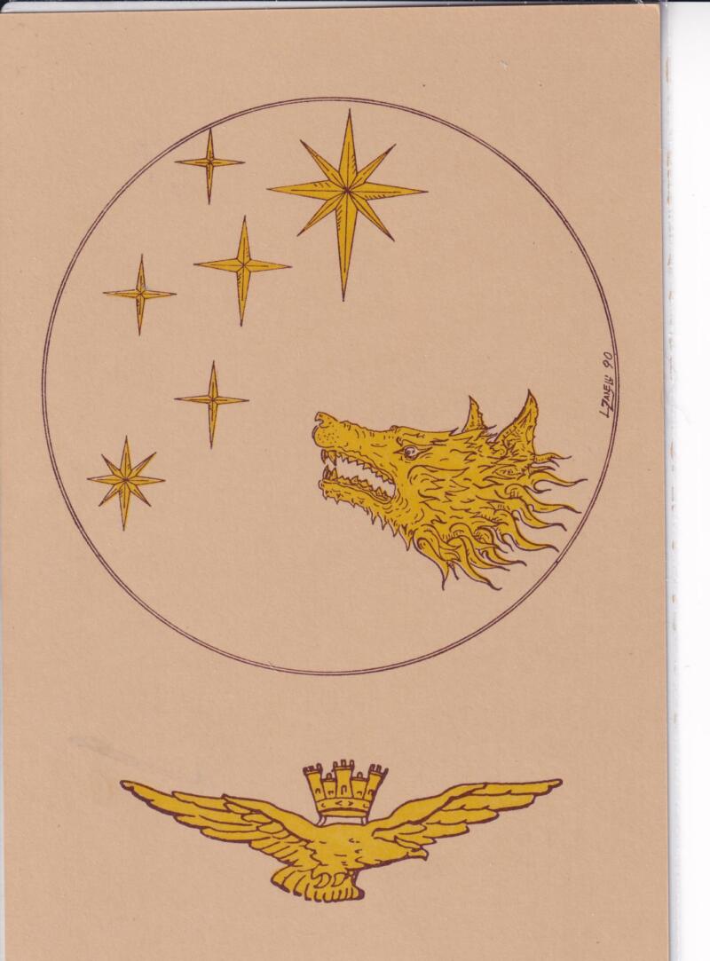 Cartolina Anno 1990 Impianto grafico medaglia d'arte Cinquantennale Fondazione 46esima Brigata Aerea Pisa 1940-1990